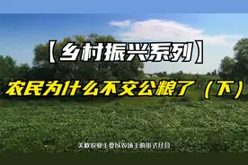 【乡村振兴系列】农民为什么不交公粮了（下）视频封面