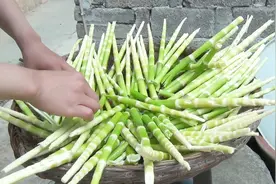 纯天然野生竹笋这样腌制，味道美极了，看看怎么咋做的视频封面