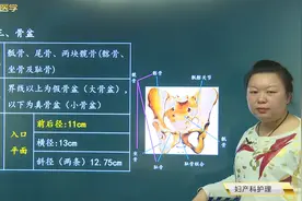 女性生殖系统解剖与生理：骨盆的组成、分界、入口平面的特点视频封面