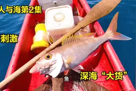 【老人与海2】老渔民钓了2条“深海大货”太激动了，看着非常刺激视频封面