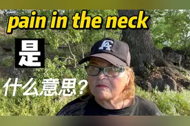 pain in the neck是什么意思