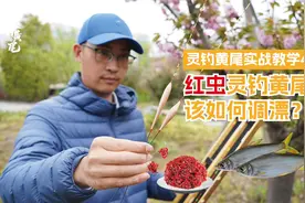 红虫拉灵钓黄尾，调漂、找底、抓口技巧分享视频封面