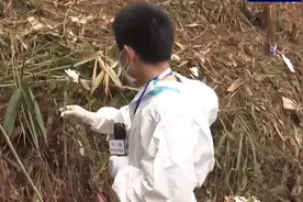 不放弃！MU5735搜寻仍将继续，记者在坠机核心区献上白花视频封面