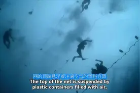 深海捕鱼用压缩机给潜水员提供氧气水下作业，好多得【潜水病】