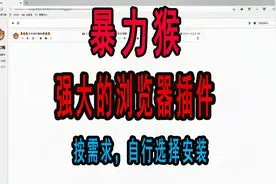 强大的浏览器插件：暴力猴安装流程和使用教程