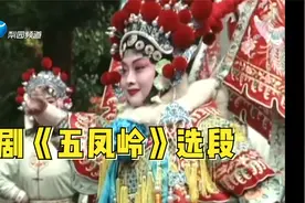 豫剧 | 王红丽演绎《五凤岭》选段，三杆大旗竖山顶！！！视频封面