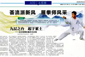 王海平演练陈式太极拳传统套路视频封面