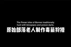 婆罗洲原始部落，熬制见血封喉树液，涂抹吹箭，用吹管吹发狩猎！