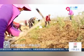 《问政山东》曝光宁阳明目张胆开采，负责人已被捕，山体正在复原视频封面