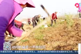 《问政山东》曝光宁阳明目张胆开采，负责人已被捕，山体正在复原视频封面