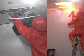 河南商丘：脸盆大马蜂窝暗藏居民家中吊顶，消防全副武装喷火消杀视频封面