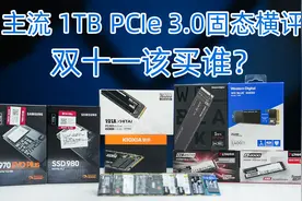 双十一固态该买谁？五百到一千元1TB PCIe 3.0主流固态详细评测视频封面