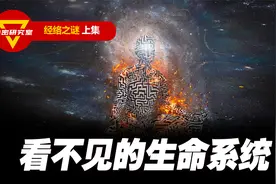 看不见的生命系统，能量之谜，你知道人体经络的秘密吗？视频封面