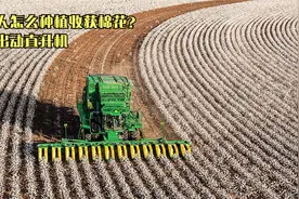 美国人是怎么种植收获棉花的？直接出动直升机，技术太先进了视频封面