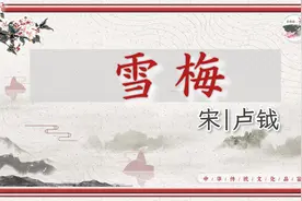 宋朝末年人卢钺的《雪梅》视频封面