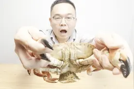 试吃69元买了一只的超大面包蟹，吃完这一次，不想再吃第二次了