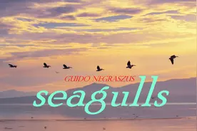 周末咖啡音乐醇享时光：充满美感的旋律 《Seagulls》（海鸥）视频封面