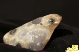 雨后在山沟里捡到的一块石头，经专家一鉴定，居然还很值钱