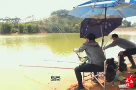 云姐夫妻爆发了！十几口大鱼，断两幅主线，鱼拖走一支漂，得8条视频封面