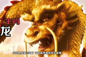 十二生肖排行榜第五位龙视频封面