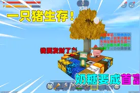 迷你世界：一只猪生存？可以无限开出装备，你能成功生存下去吗？视频封面