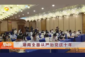 湖南全面从严治党这十年视频封面