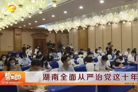 湖南全面从严治党这十年视频封面