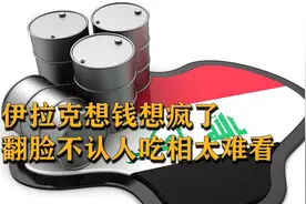 伊拉克冻结我国百亿订单，狗咬吕洞宾？他们太小看我国了视频封面