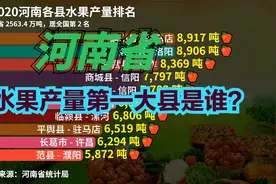 2020河南各县水果产量排名出炉！猜猜河南水果产量第一大县是谁？视频封面