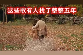 你相信这些歌曲有人找了整整五年吗？你觉得是治愈还是伤感呢