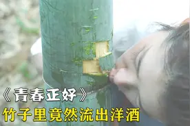 竹子里流出透明液体，女孩尝了一口发现竟是鸡尾酒的味道！影视