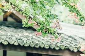 温馨治愈的bgm-在最平凡的生活里，谦卑和努力视频封面