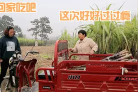 农村姐妹俩买甘蔗，一到地老板就热情招待，猜猜十块钱买几棵视频封面