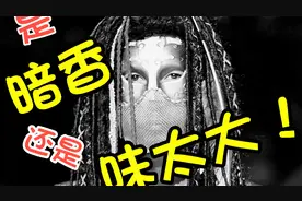 【唱歌技巧】沙宝亮一首暗香飘了15年了！它还香吗？视频封面