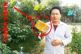 两种不同的无花果干开箱测评：40元和20元的价格，哪种口感更好？