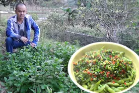 这种像薄荷的野草，好多人把它当调料，却不知道它的正式名字视频封面