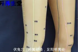 伏兔穴主治：膝冷不得温，风劳痹逆，狂邪，手挛缩，身瘾疹