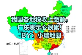 我国各地税收上缴额，广东表示心很累！视频封面