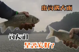 不信天气预报，贪竿被困雨中！汛期出钓需谨慎，河南钓友还好吗？视频封面