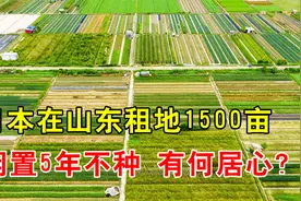 日本在山东租地1500亩，却闲置5年不闻不问，背后目的何在？视频封面