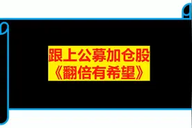 如何跟上公募基金加仓股视频封面