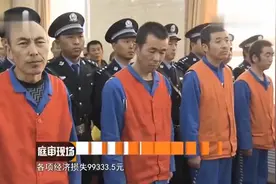 庭审：5辆大货车强行冲卡，年轻收费员当场碾死，9名司机直接判刑