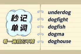 秒背5词：dog+fight，不是狗打架！视频封面