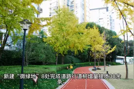 成都市锦江区简介视频封面