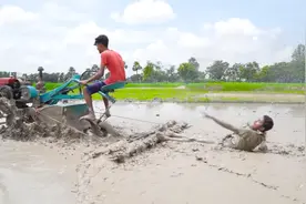 兄弟俩在田里干活，小伙开着拖拉机，没想到大哥被拖在后面视频封面