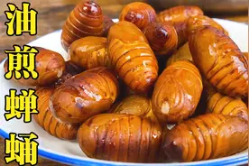 营养价值极高的蝉蛹油煎来吃，入口甘甜软嫩，一口一个特别过瘾视频封面