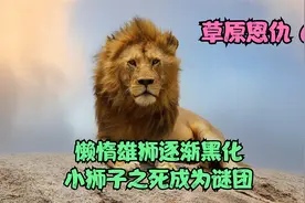 懒惰雄狮逐渐黑化，厌烦非血缘幼崽，小狮子之死成谜团视频封面