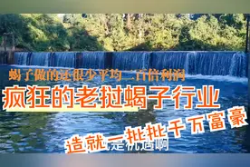 不敢想像的老挝蝎子收购行业，造就了一批批千w富豪