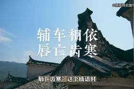 “辅车相依，唇亡齿寒”，合作共赢的智慧视频封面