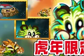植物大战僵尸2：虎年新植物即将来袭，买了就是智商税？视频封面